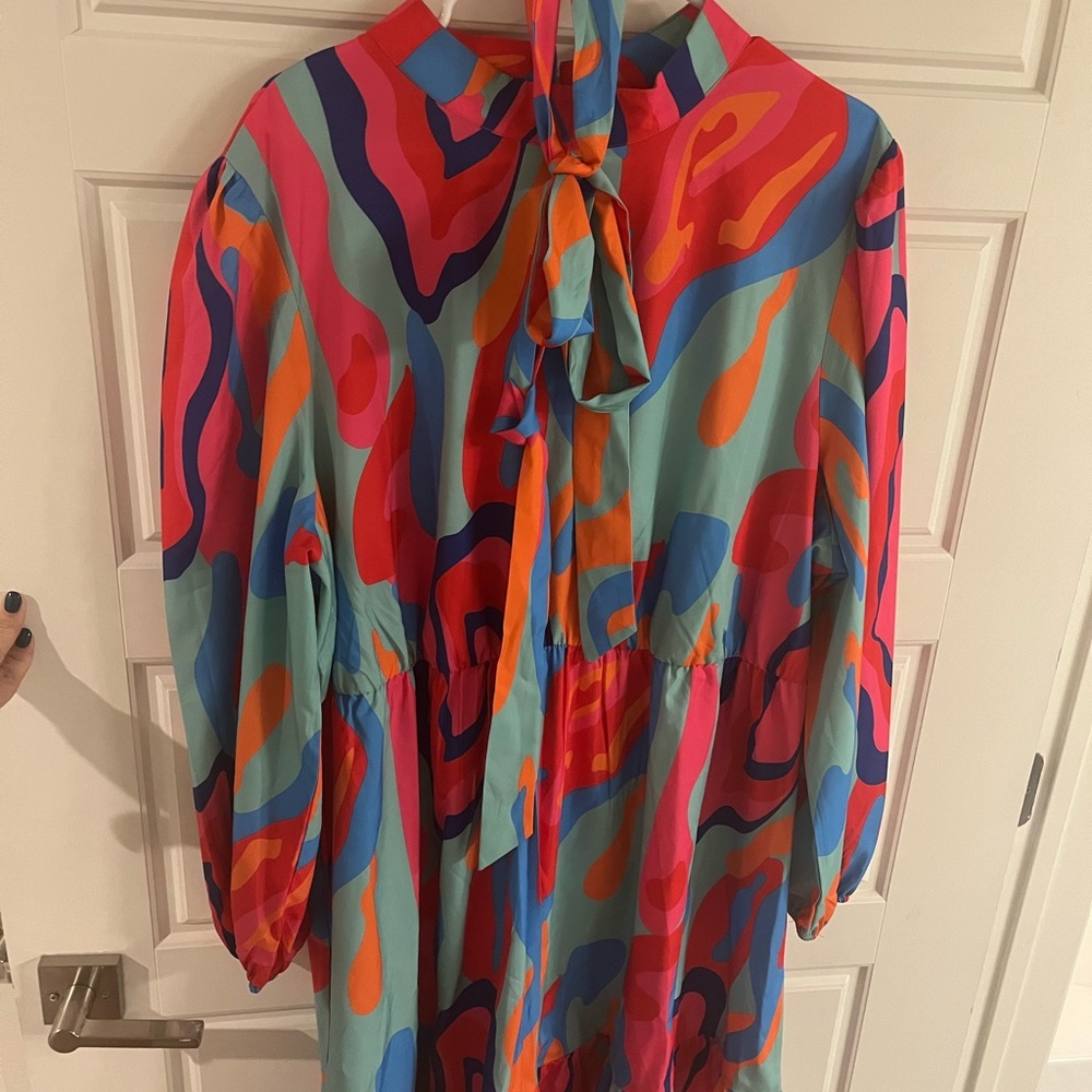 Women’s MultiColored Plus Size Dress - Picture 4 of 4
